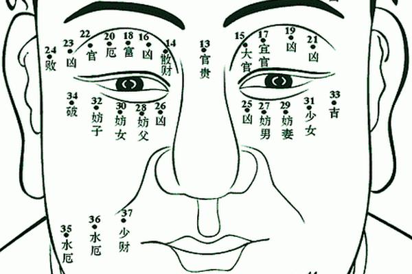 妖异之相 恶痣在线阅读,痣相书籍在线阅读