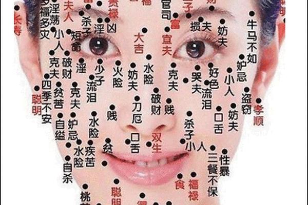 痣相改变面相 女人痣相图解 痣相改变面相 女人痣相图解