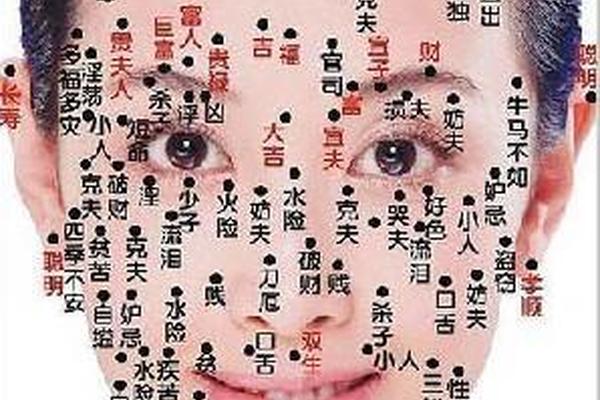 痣相坊女-痣相女全身图解
