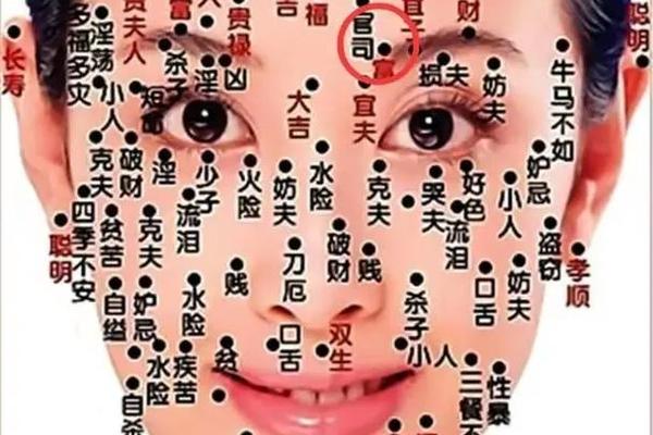 女人脸部痣相的图解—女人脸上的痣图解左右