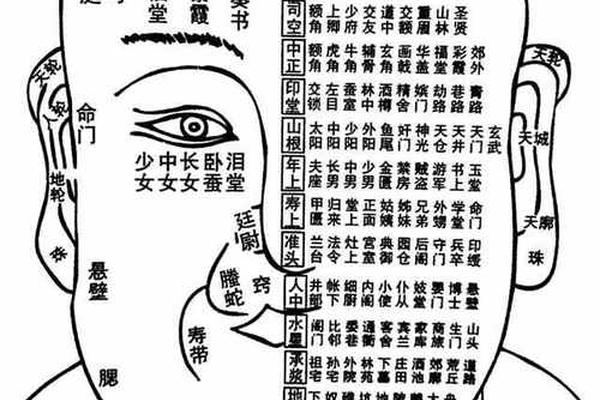 麻衣神相 印堂有痣_印堂在哪里图解