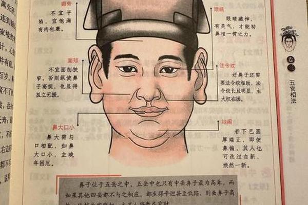 麻衣神相嘴下有痣代表什么 痣相大全