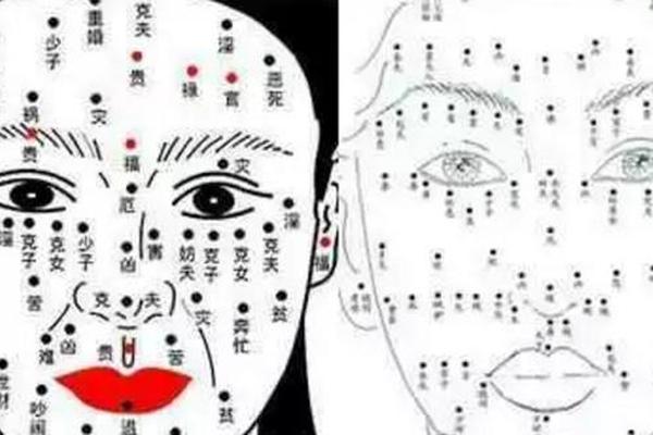 面相学和痣相-面部长痣全部图