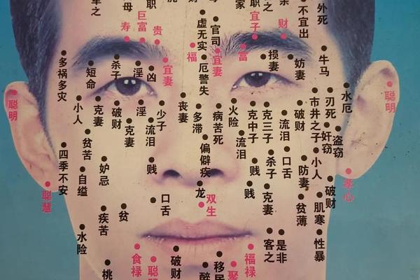 痣相的图解大全 男身上 男士痣相学大全图解