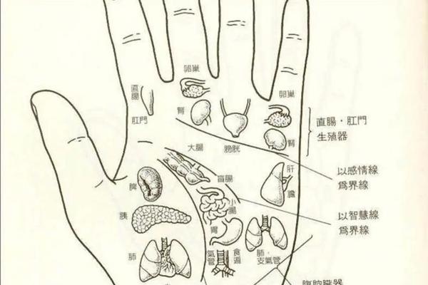 女子手掌痣相解-手掌上的痣图解