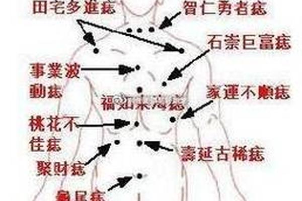 女右肩胛骨痣相、右侧肩胛骨有痣的女人