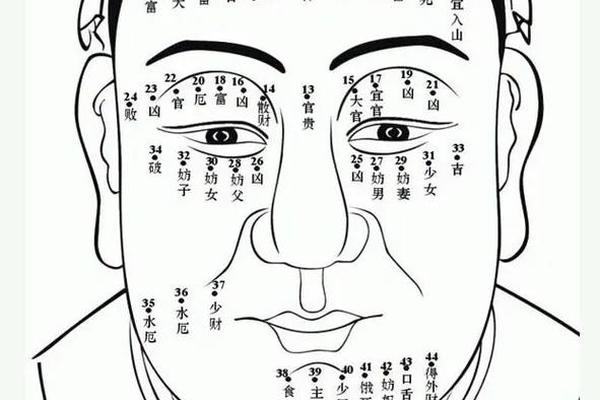 诸葛亮痣相法白话本—善痣和恶痣照片