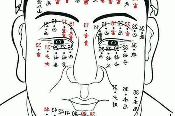 痣痣相_男性的痣图解
