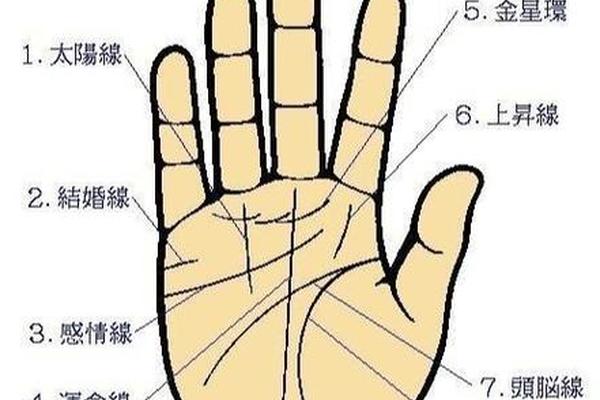男人手痣相大全图解_男人手上痣的位置与命运图解
