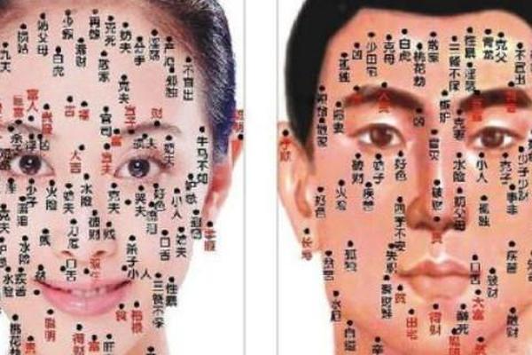 女性脖子痣相大全图解—女人脖子有痣解说