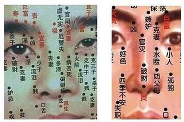 男人鼻子痣相最准图(鼻头有痣的男人好不好)