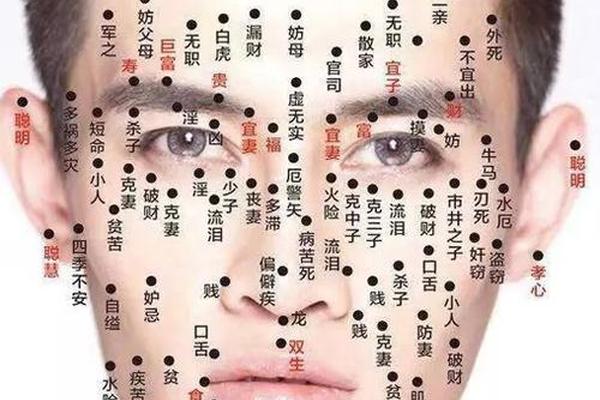 最详细的痣相,人体上的痣图解大全