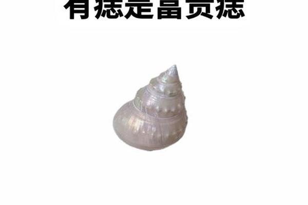 嫁有钱人的女人痣相-什么女人适合嫁有钱人