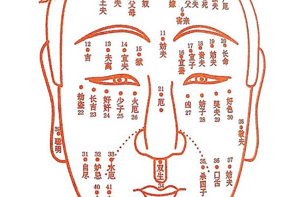 痣相大全书籍(痣相学大全图解)