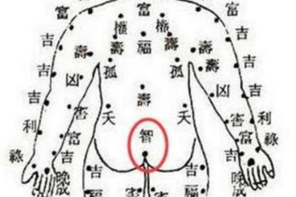 身体上的痣相吉凶、身上的吉痣在哪些部位
