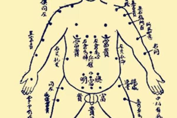 右下臂外侧的痣相(女右手臂外侧长痣图解)