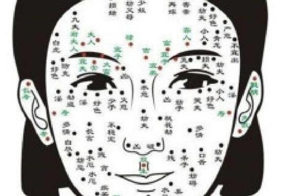 痣相女生图下巴 女人下巴长痣图解