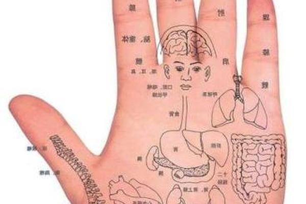 看痣相怎么看吉凶图解女—手掌痣相图解
