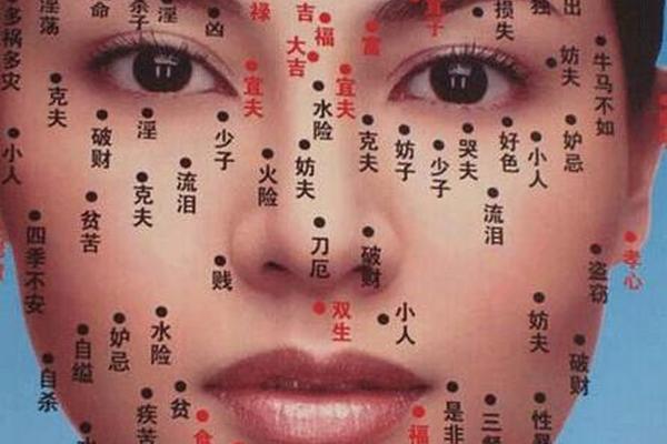 麻衣神相女人面相痣图,女士面部痣相图解