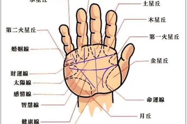 手心长痣痣相;手上痣相图解大全