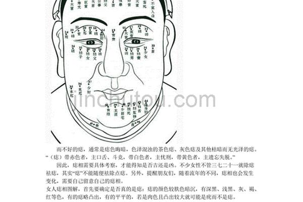 传统文化看手相和痣相、相面术图解痣