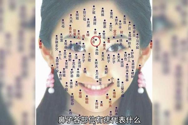 麻衣神相痣相全文及图解—鼻上有痣看相图解