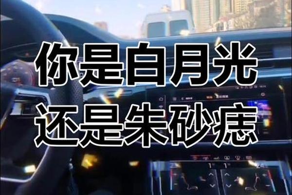 白月光和朱砂痣相爱相杀;朱砂痣是爱而不得吗