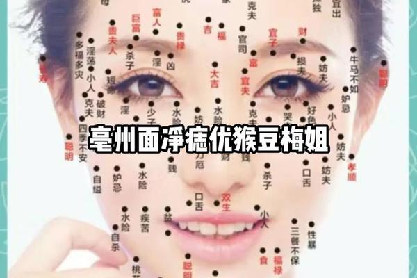 面部痣相女含义_面部痣相图解女人解说