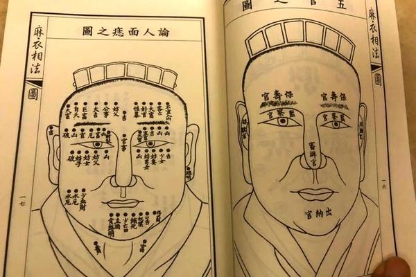 麻衣相手心有痣(女人痣相图解)