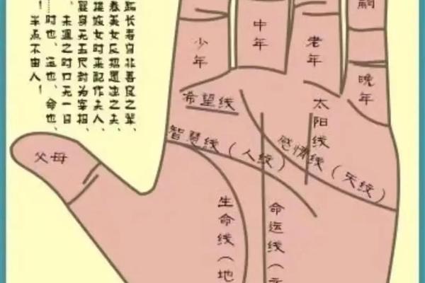 手心痣相右手男图解大全—男右手掌有痣图解大全
