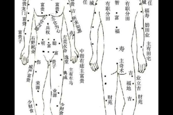 男面痣相文字解释—男人身上痣相大全图解