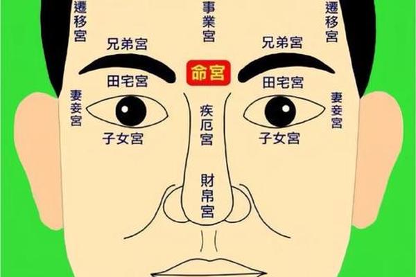 麻衣相术痣相大全(麻衣相术脸部图解大全)