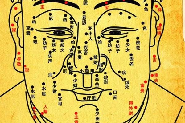 小男孩面部痣相最准图 女人脸颊痣相最准图