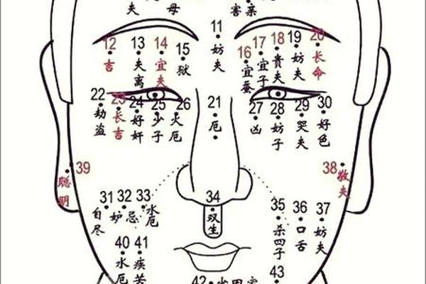 男人锁骨痣相最准图-锁骨有痣男人代表什么