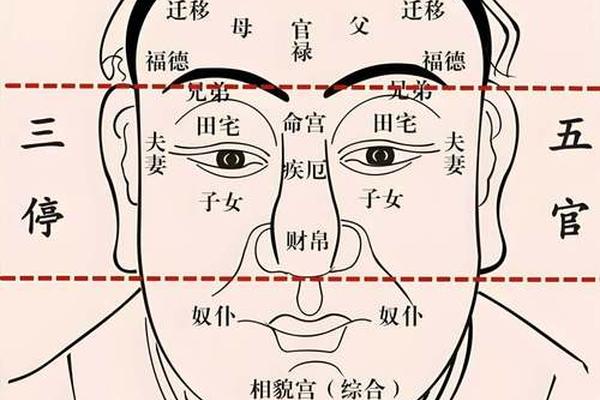 光看痣相不看八字 八字带光是什么意思