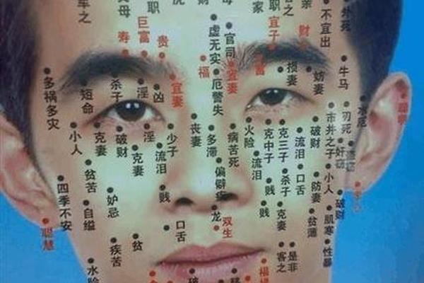 什么痣相的人聪明(男人面部痣相最准图)