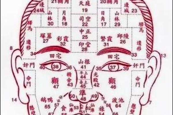 属相与痣相-周易面相痣相大全图解 属相与痣相-周易面相痣相大全图解