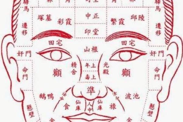 柳庄神相痣相图-柳庄相法看富贵
