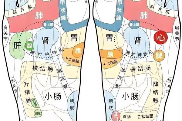 少奴痣是什么痣相 脚底痣相图解