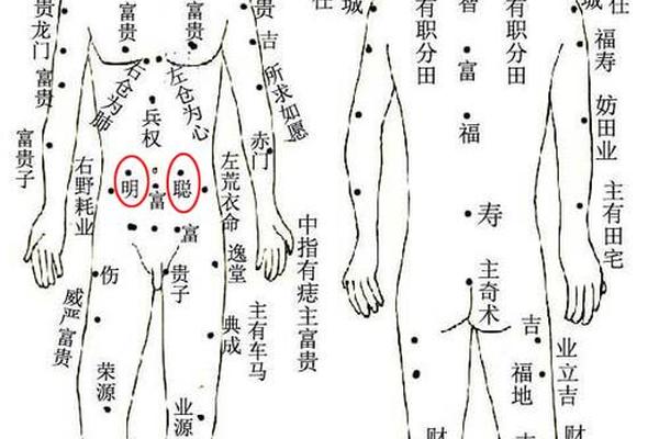 下腹腰部痣相—腹部痣相图解大全