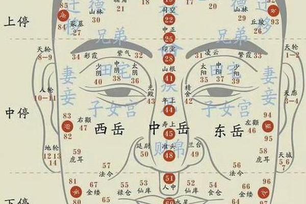 额头痣相9大位置图解-额头黑痣 图解