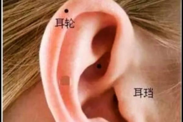 和耳朵垂直下方的痣相(耳垂下面长痣图解)