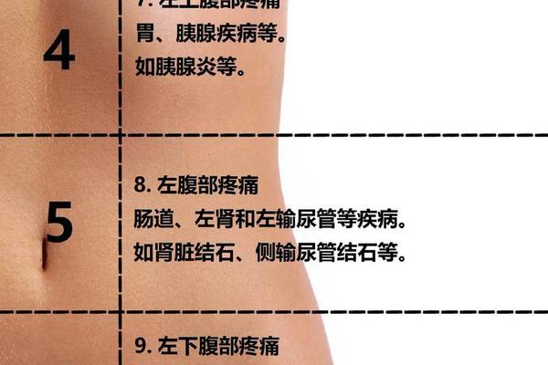 右边腹部痣相_肚脐痣相图解