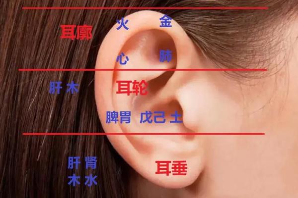 左下耳廓有痣怎么个相说,耳朵周围的痣图解