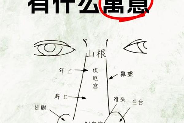 鼻孔痣相,鼻子上有痣面相图解