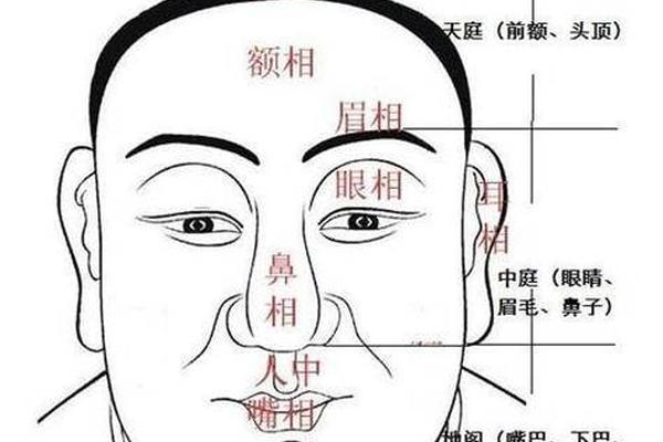 面部长痣 麻衣神相—面部痣相图解男人