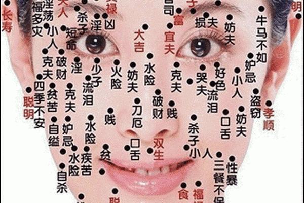 脸痣图相大全女人图片;女人面部痣相图解大全