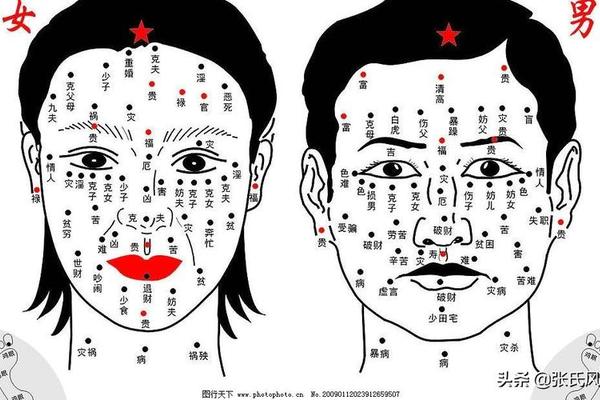人胳膊的痣相(全身痣相图解大全)