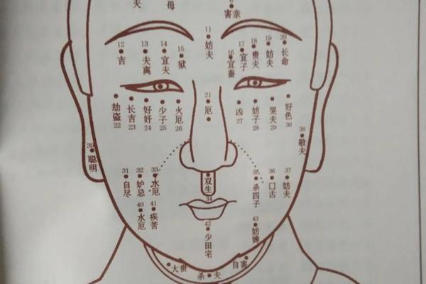 道教麻衣神相痣图解—面部痣相图解男人