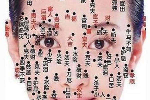 面部痣相真人图女_女士面部痣相图解